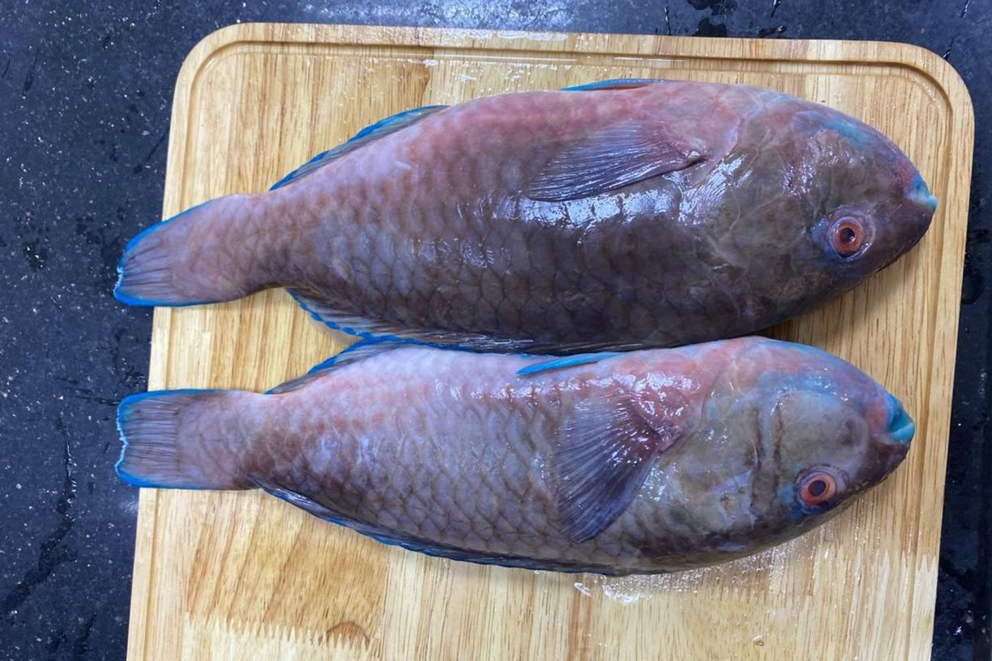Haried - Kilo