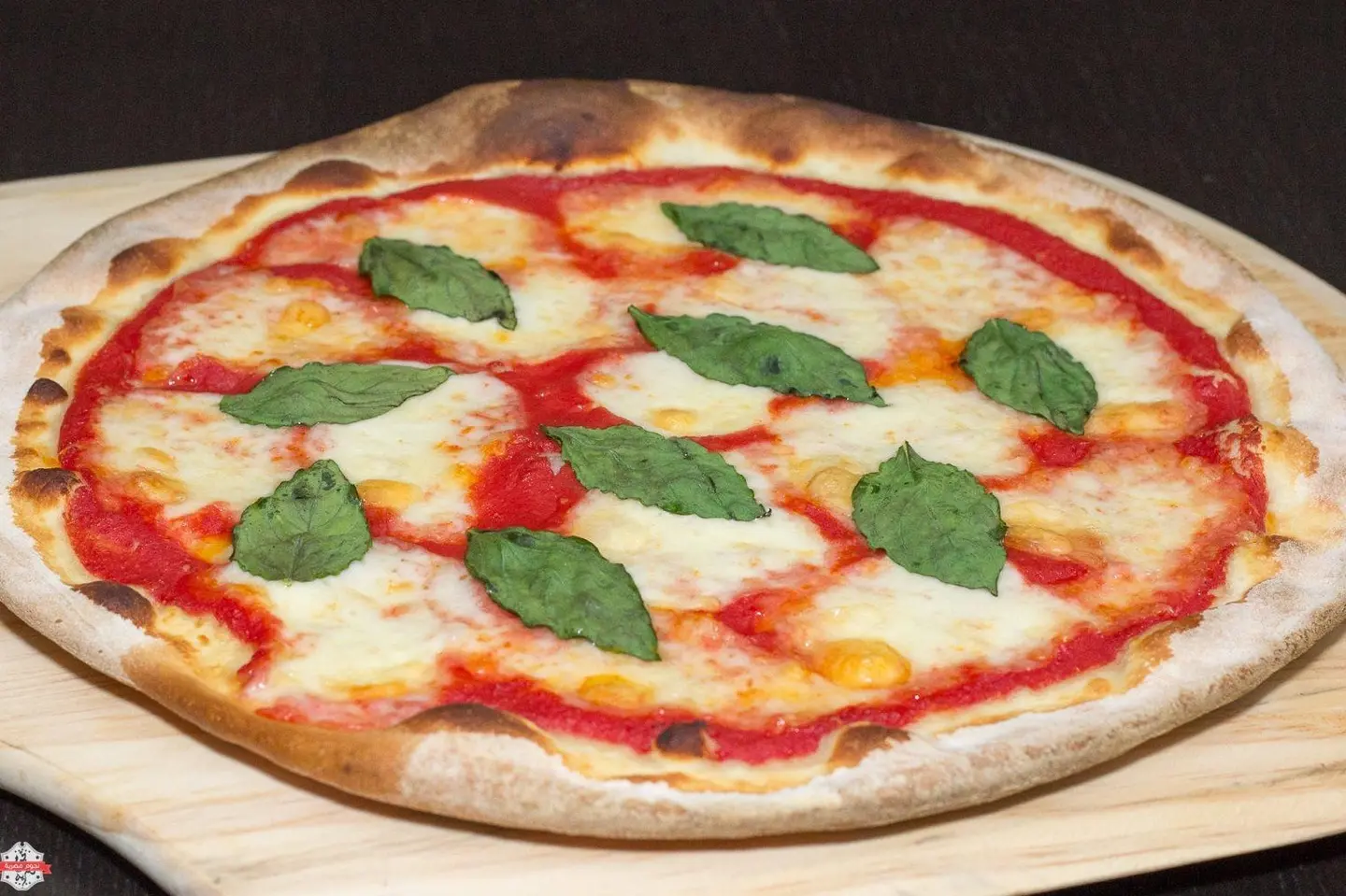 بيتزا مارجريتا صغير  - بيتزا مارجريتا صغير