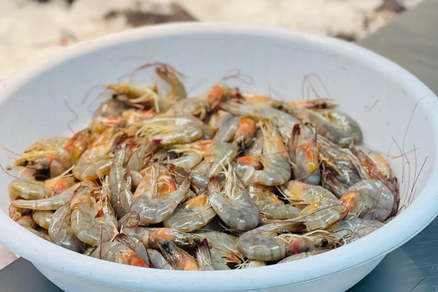 Shrimp Farm Fresh - 1 Kg