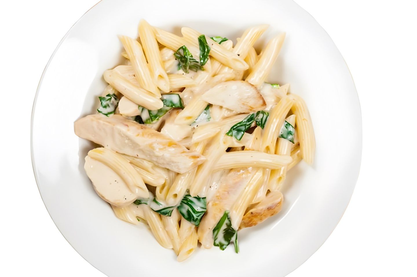 Alfredo Pasta - Medium Size