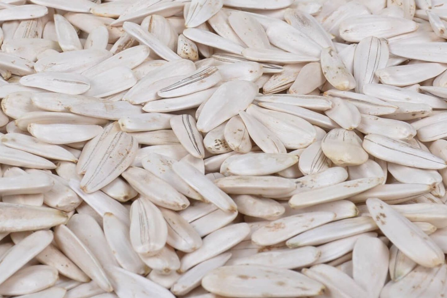 Spicy White Sunflower Seeds - 250 Gm