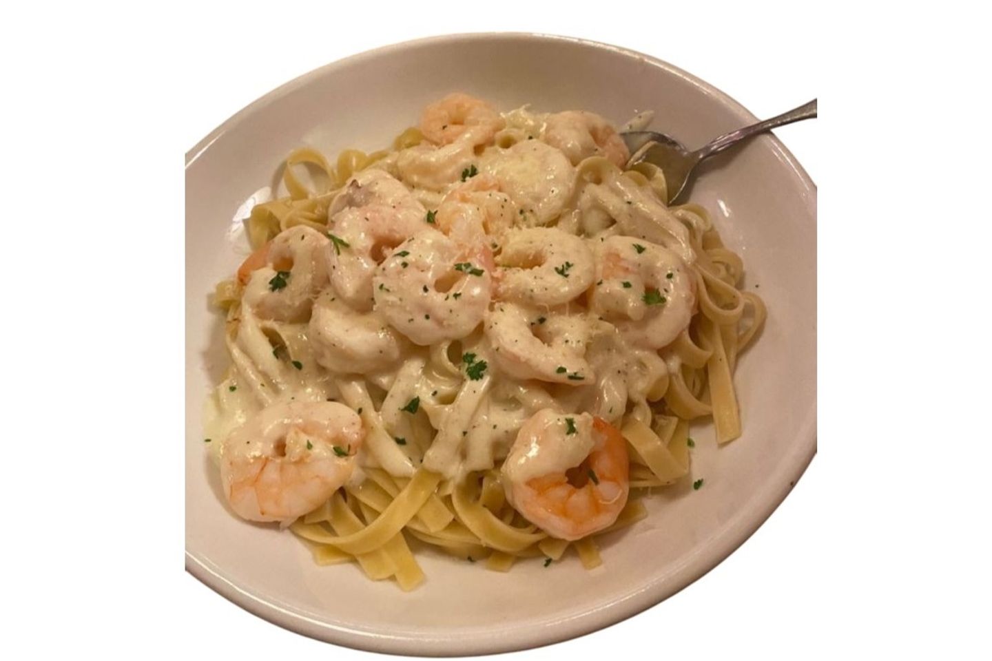 Shrimp Pasta - Medium Size