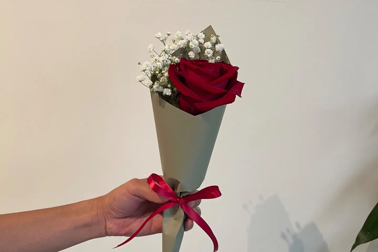 ورد احمر بتغليف منفرد - ٥ حبات