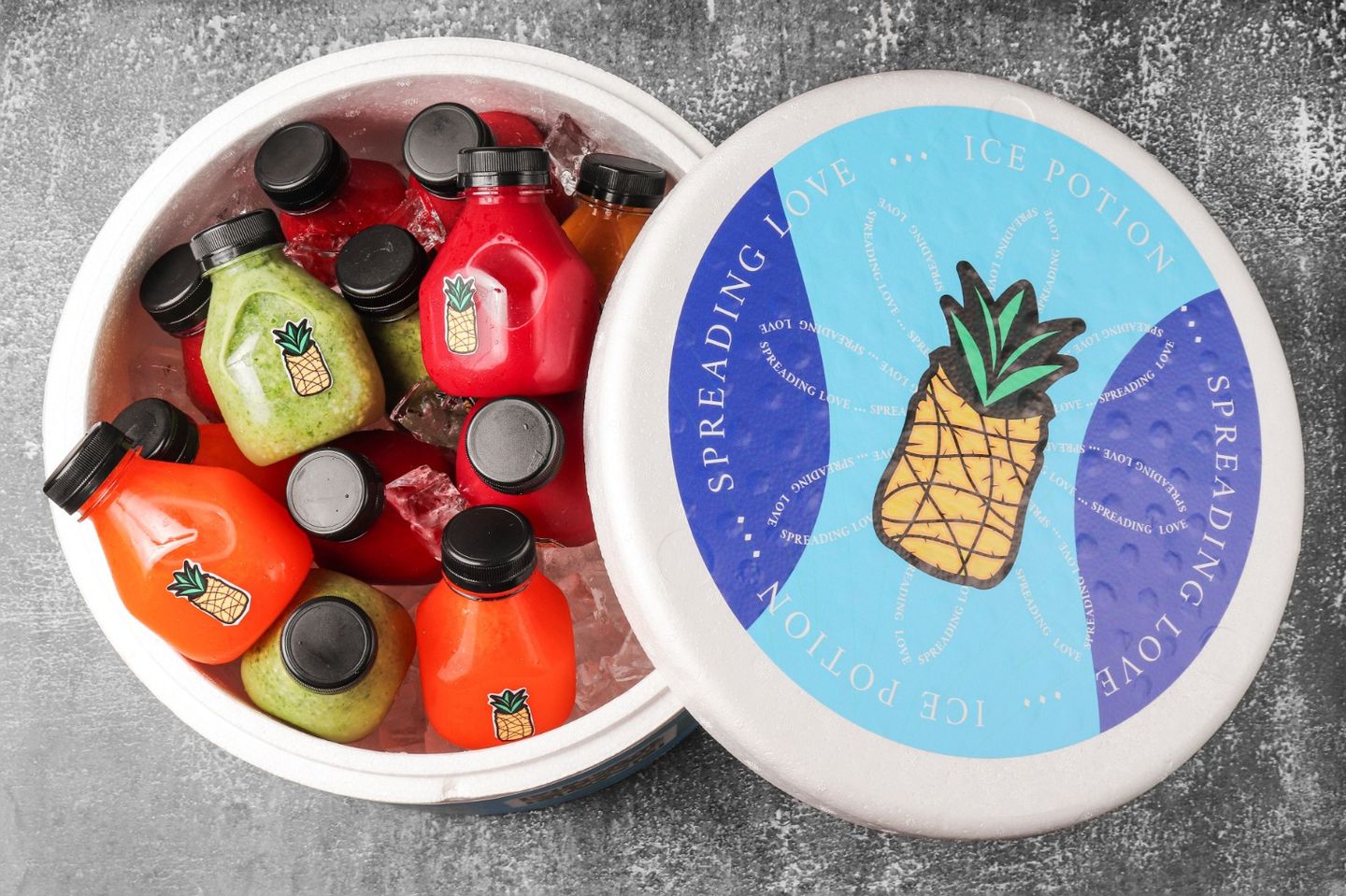 Box Potion 1 - 15 Pices 250 Ml