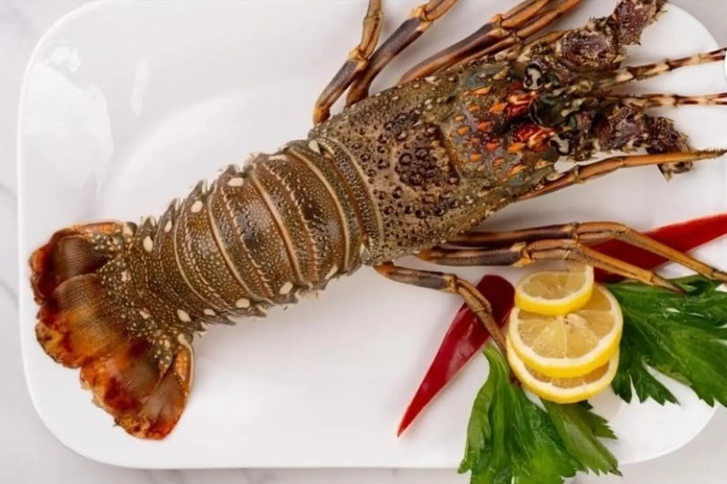 Lobster - 1200