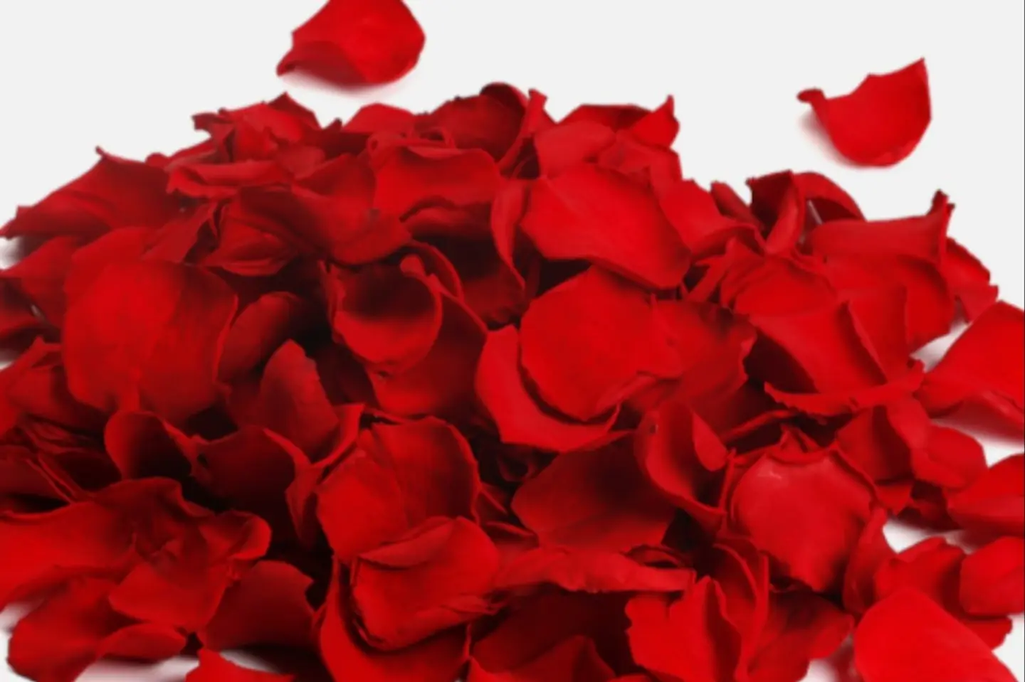 Nthr - Red
