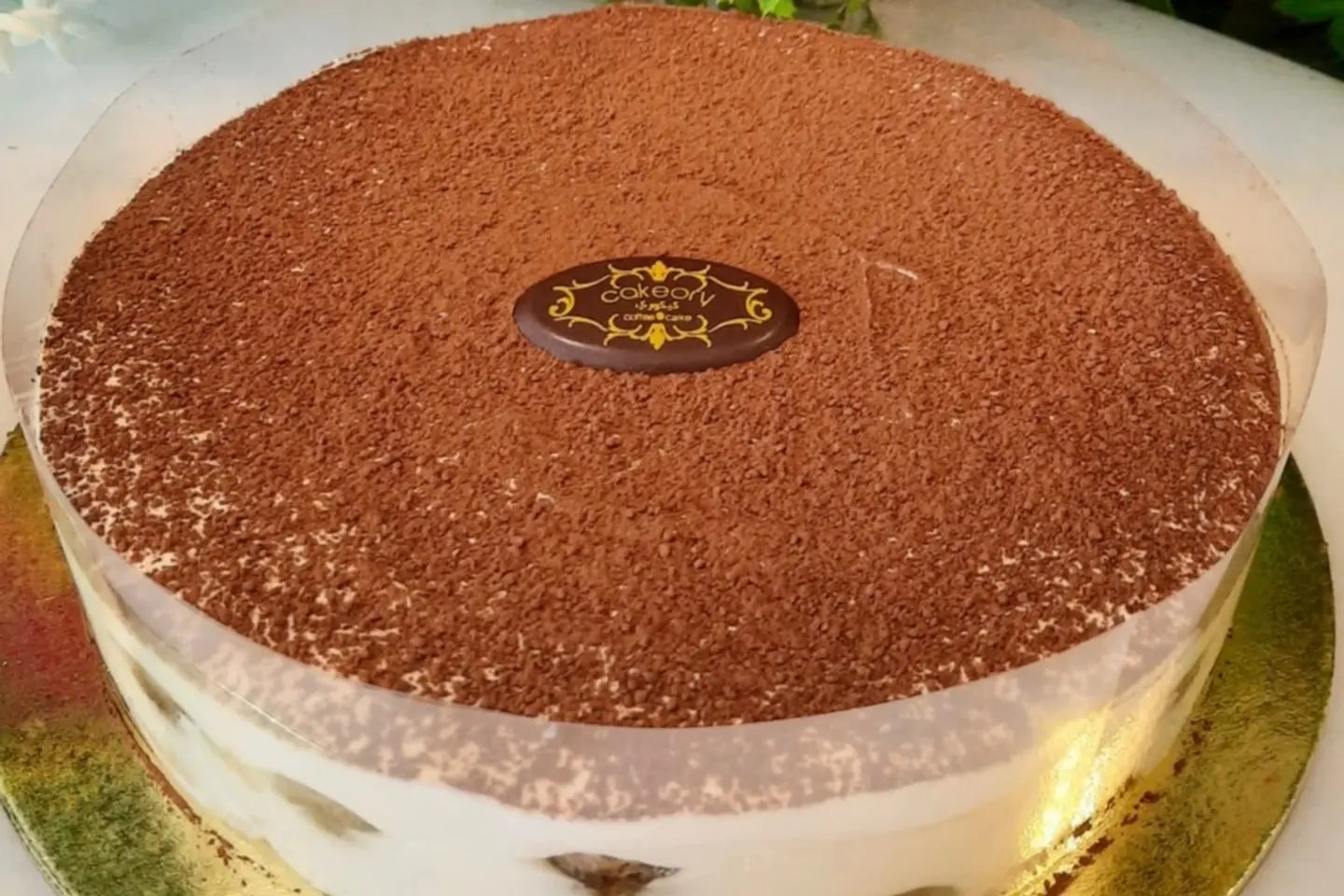 Tiramisu - Medium
