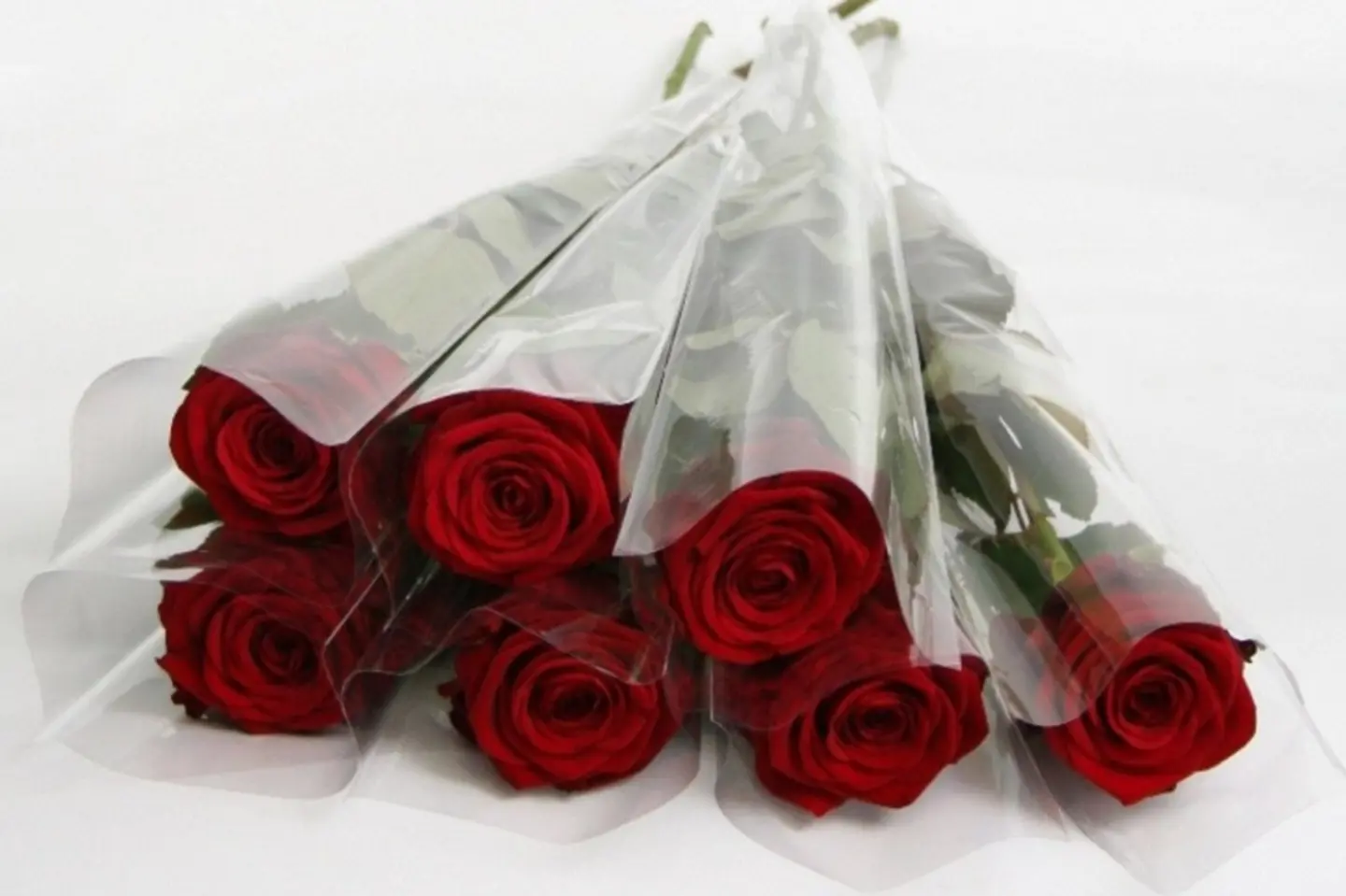 7 Individual Roses - 7 Red Color