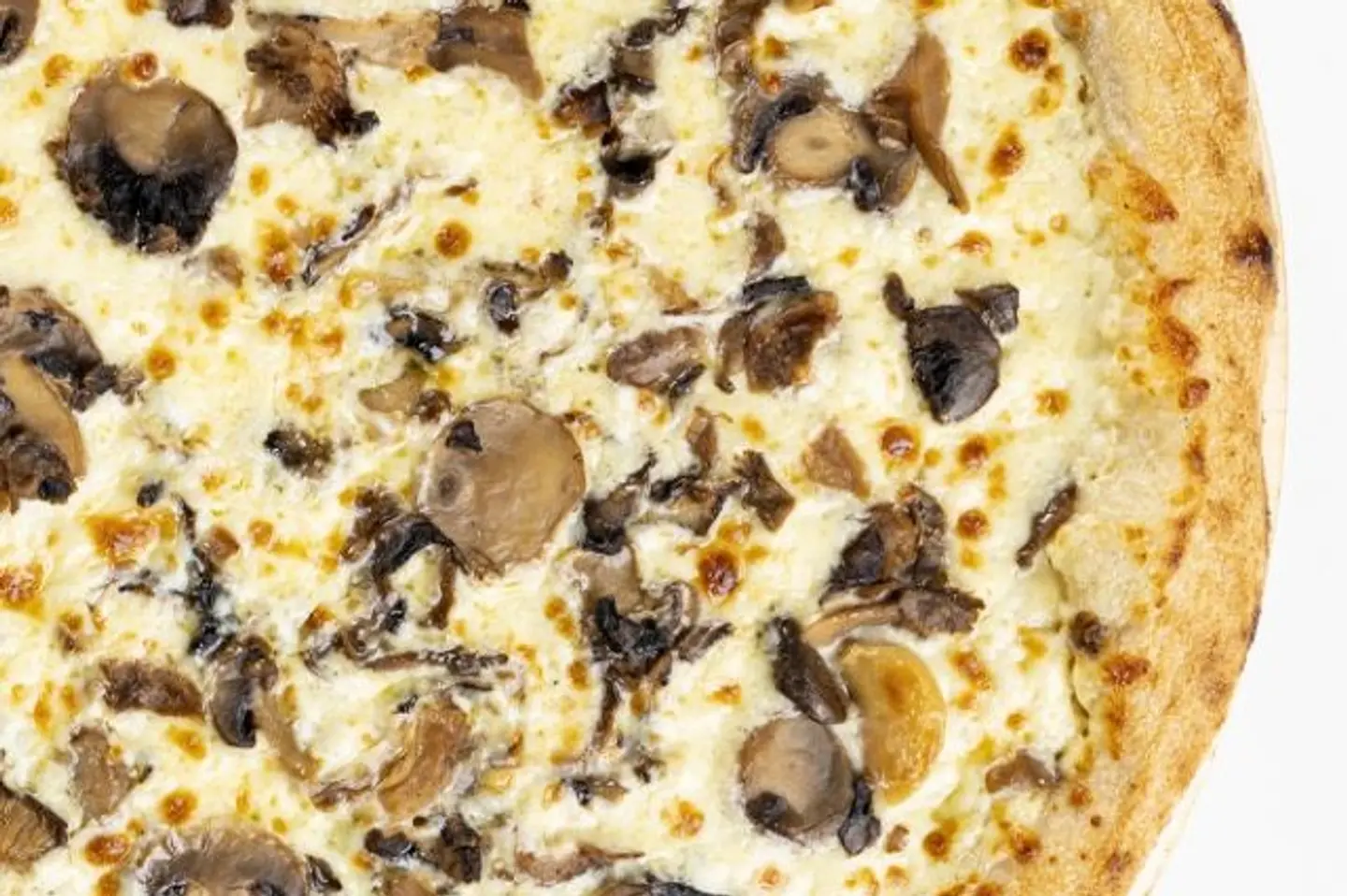 Chicken Alfredo - Junior