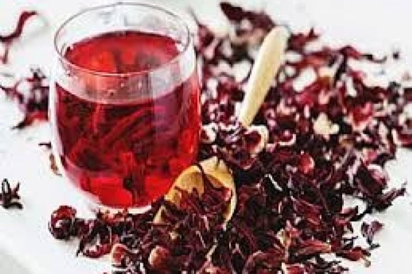 Cold Hibiscus - Medium Cup