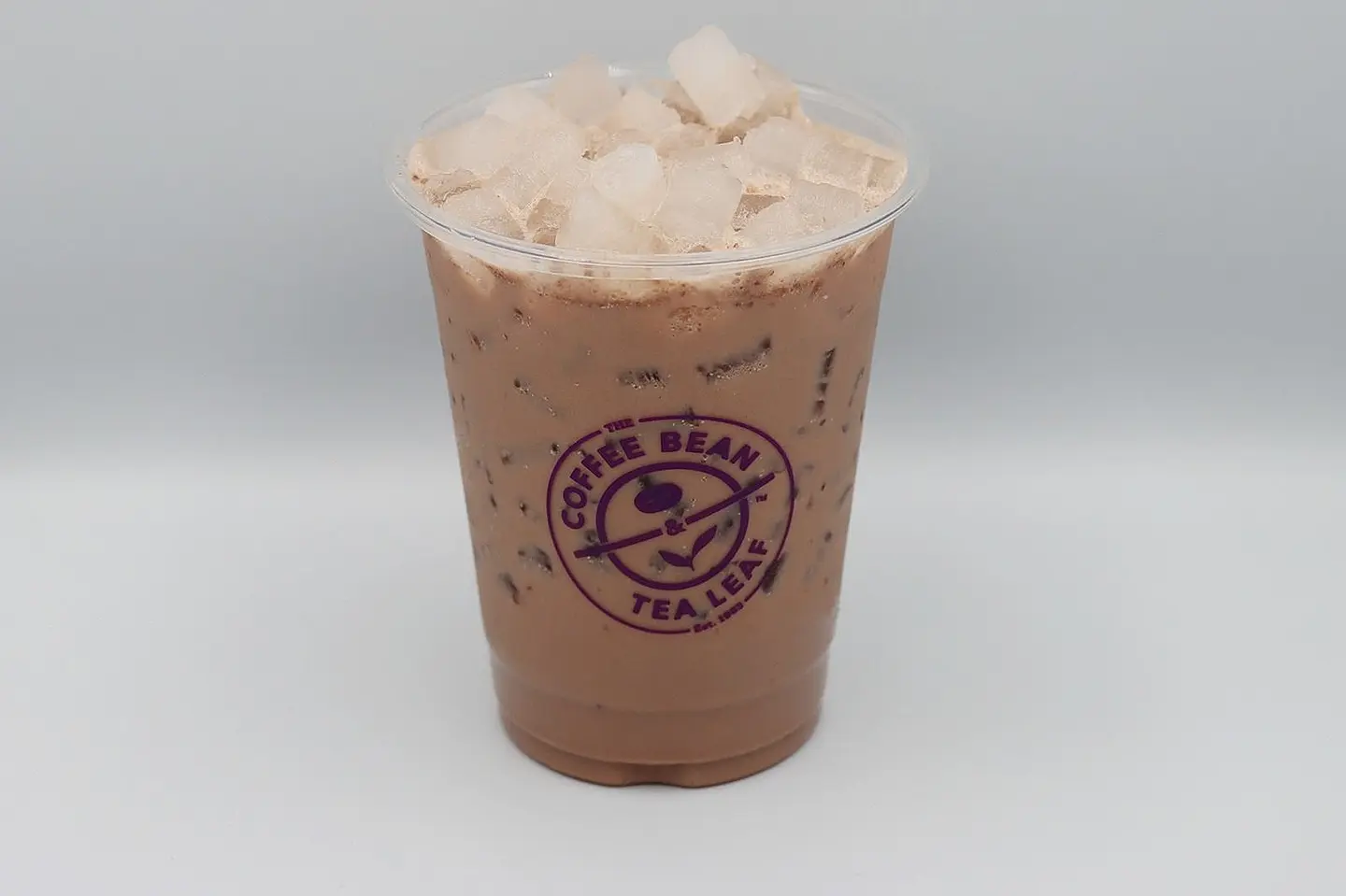 Iced Mocha Latte - Small