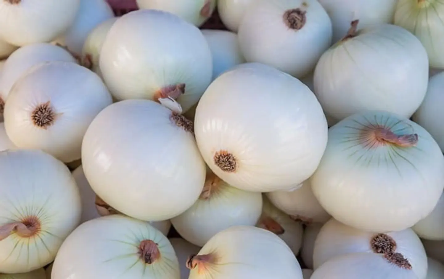 بصل أبيض - 500 جرام