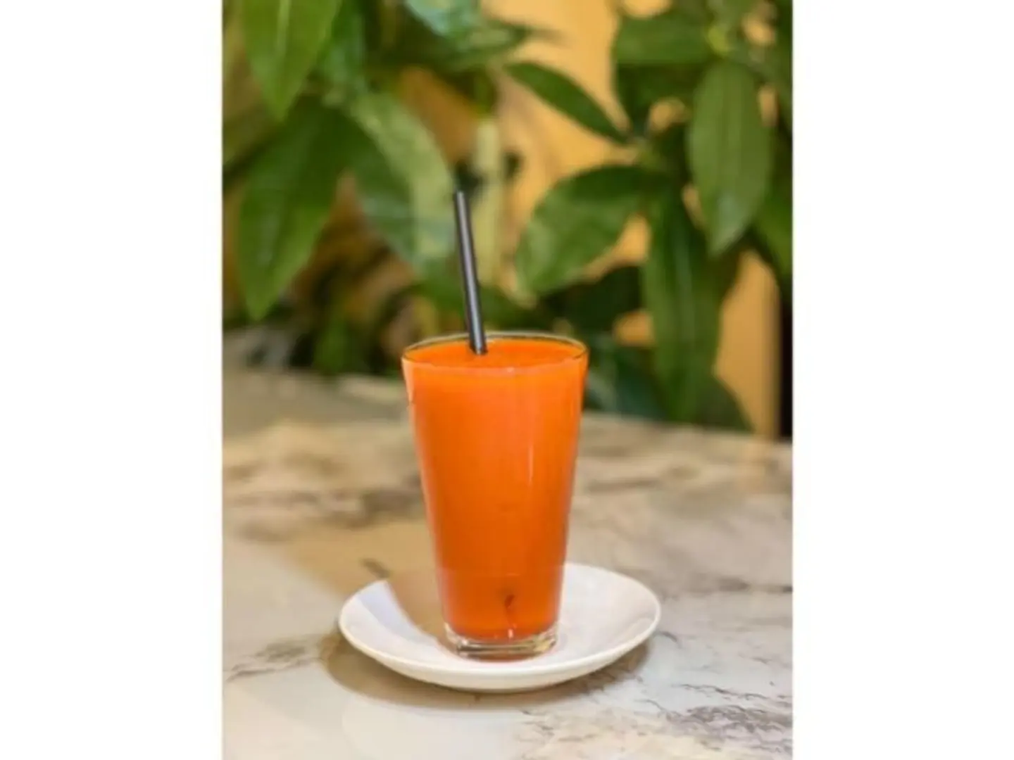 Fresh Kidder - Small