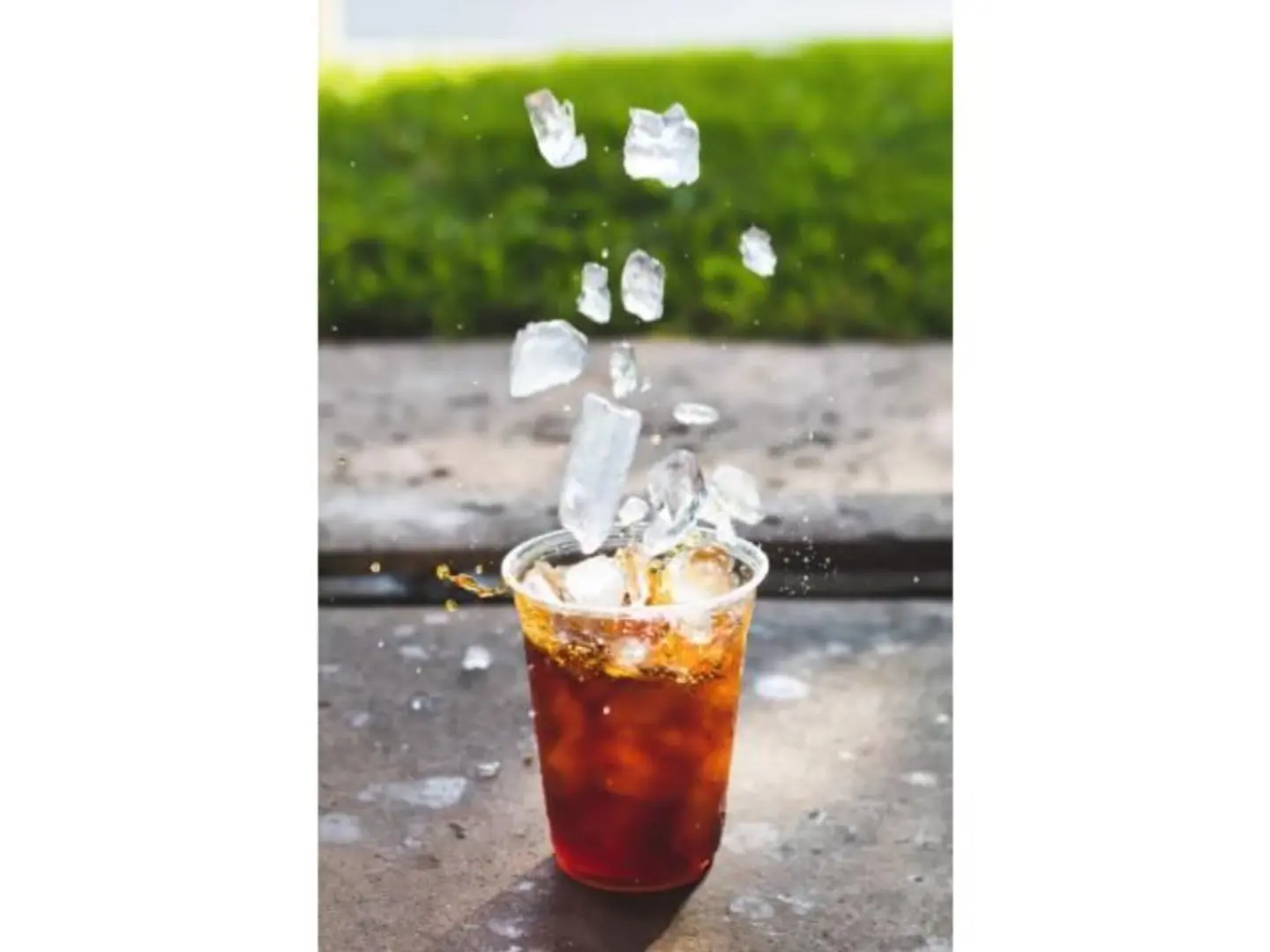 Ice Hibiscus - Medium