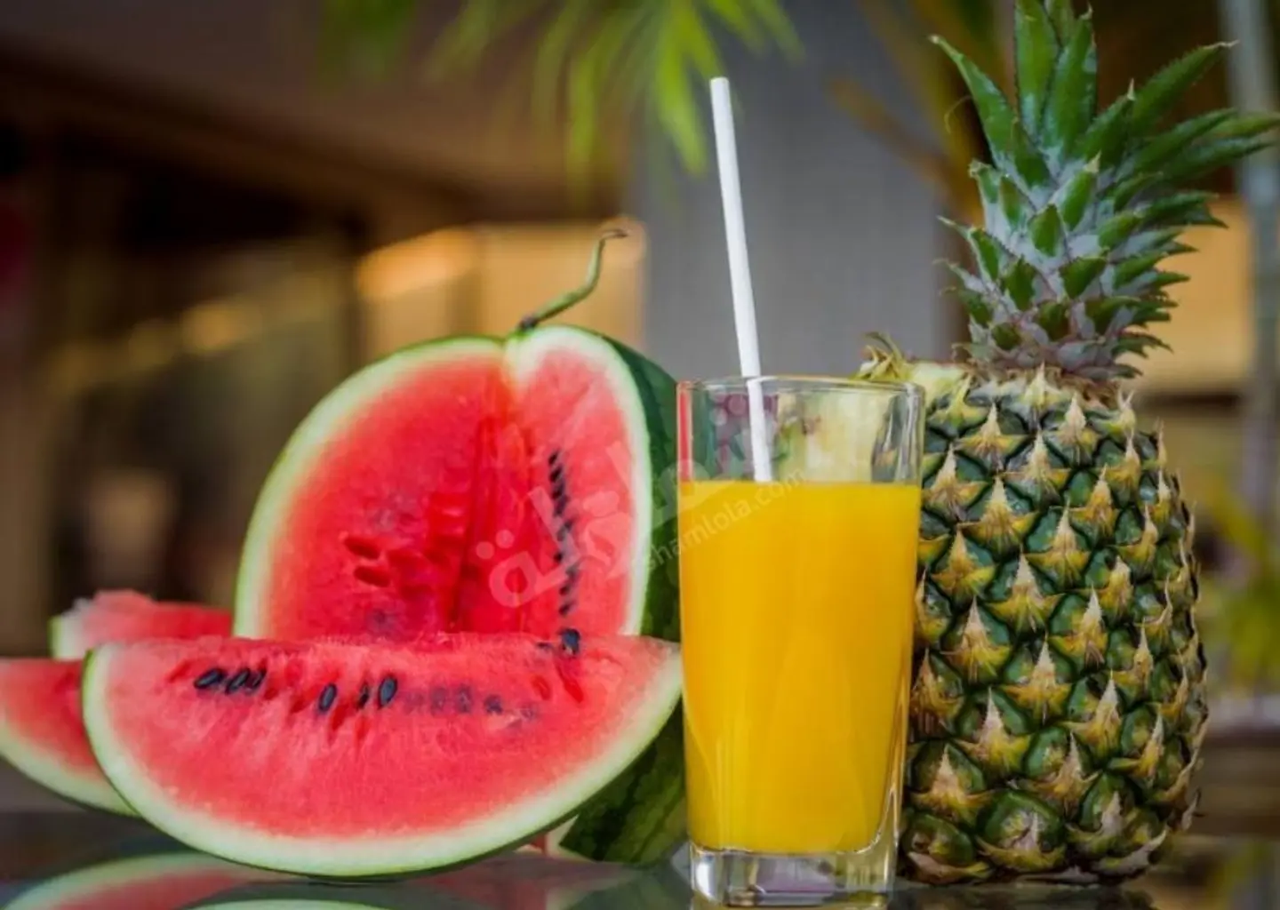 Watermelon Pineapple Juice - Small