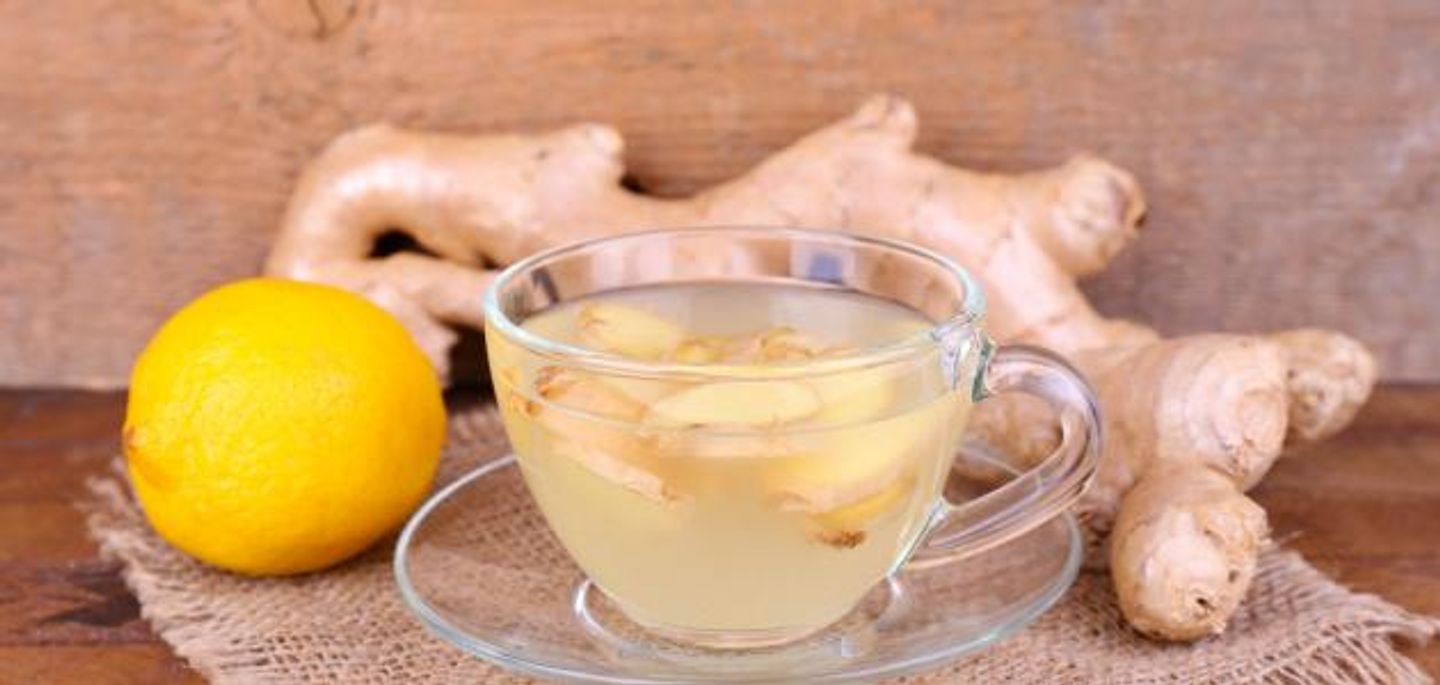 Ginger - Small
