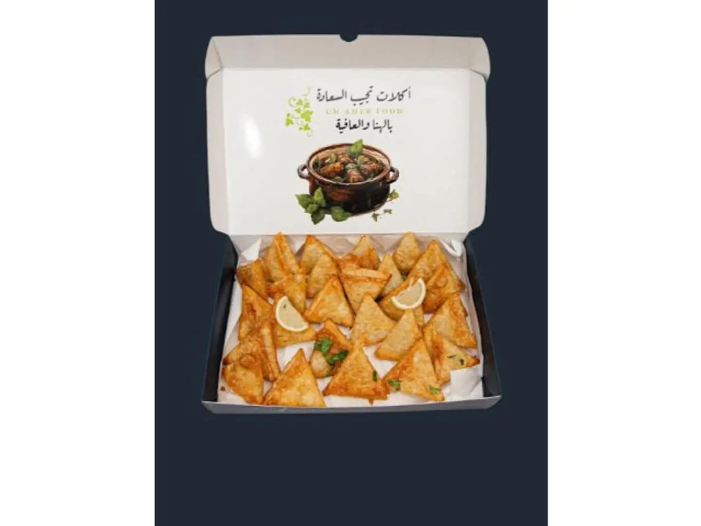 Chicken Samosa - Small