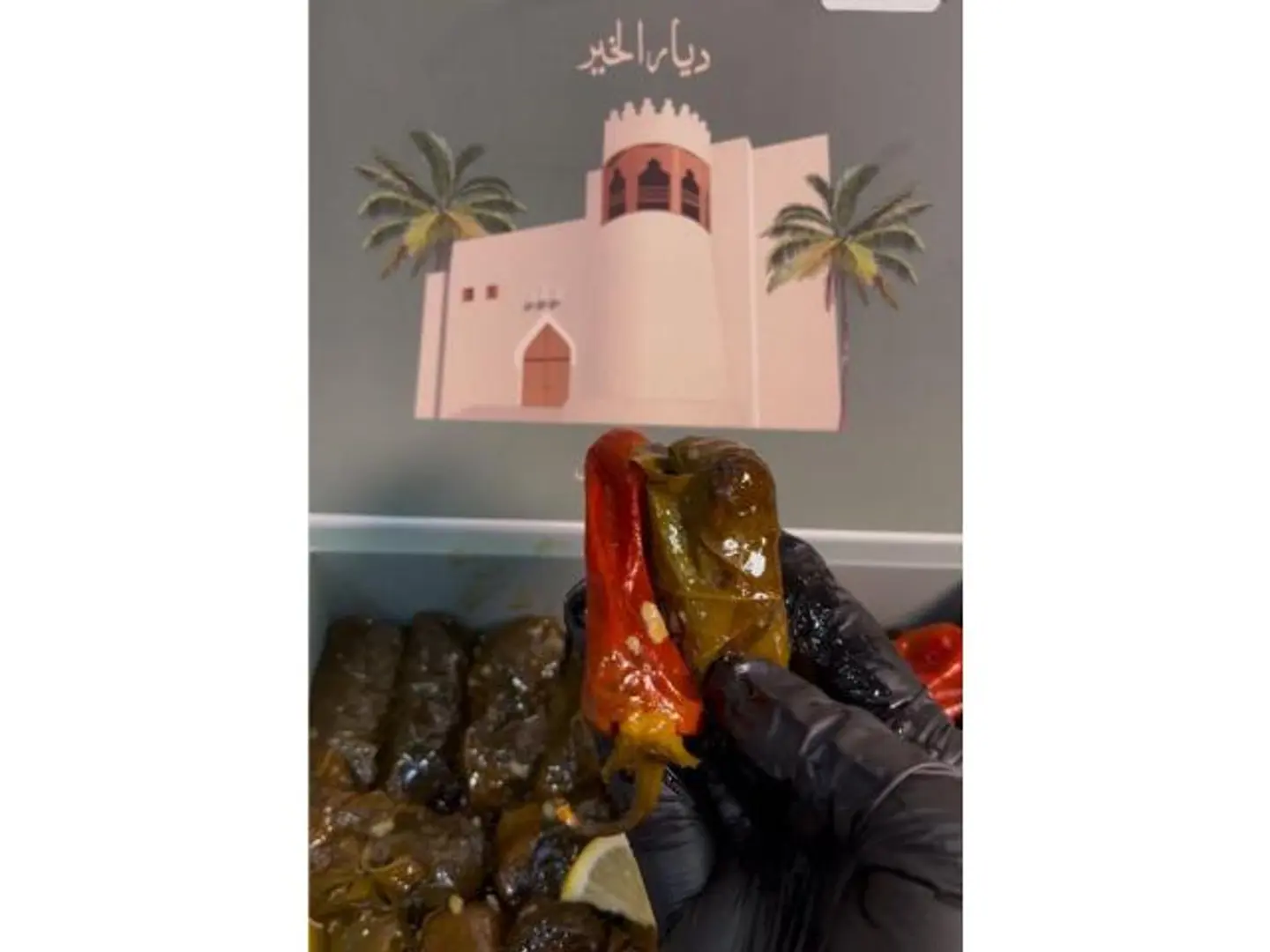 ورق عنب حبحر - 5 حبات