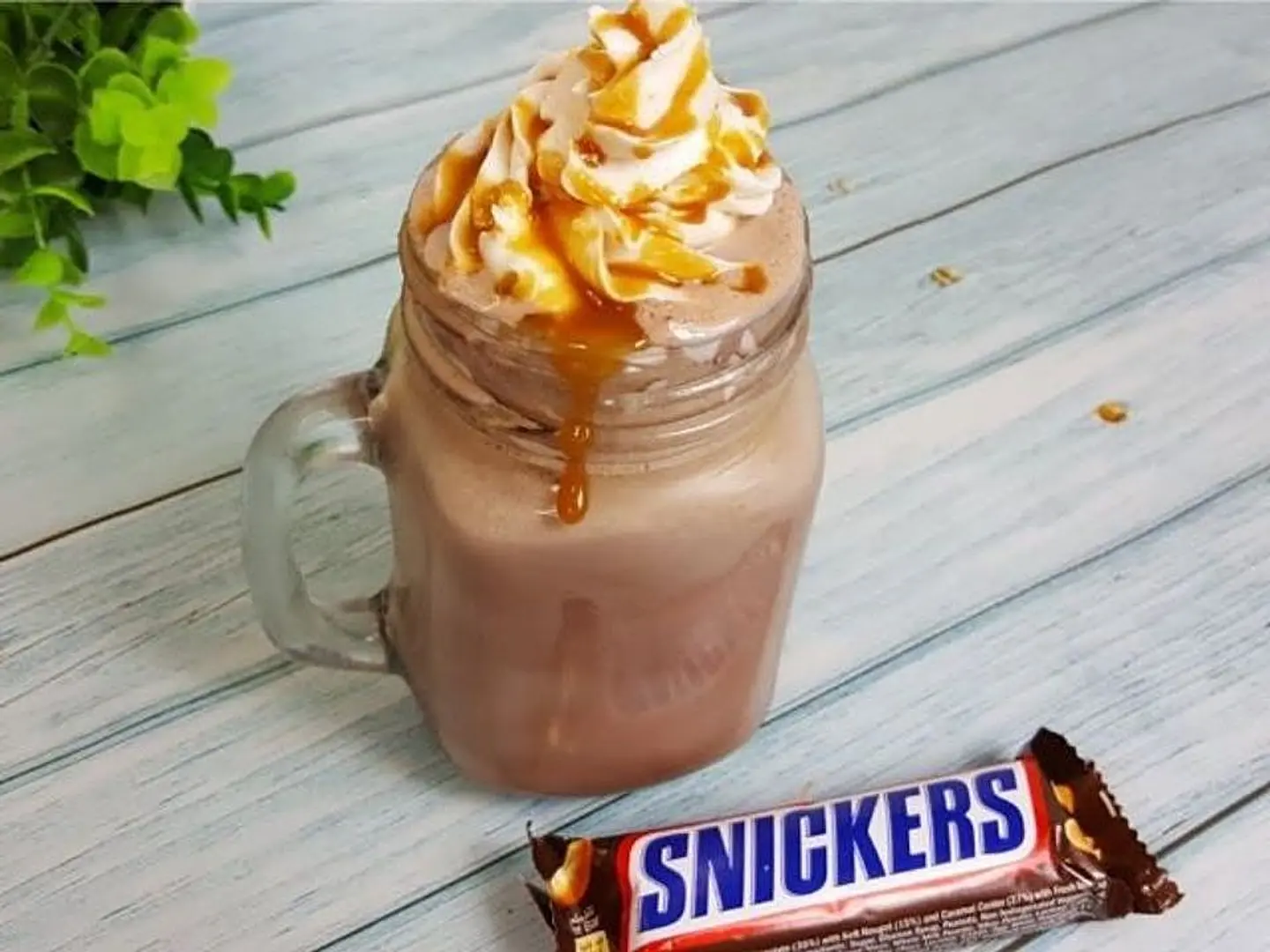 Snickers - Medium