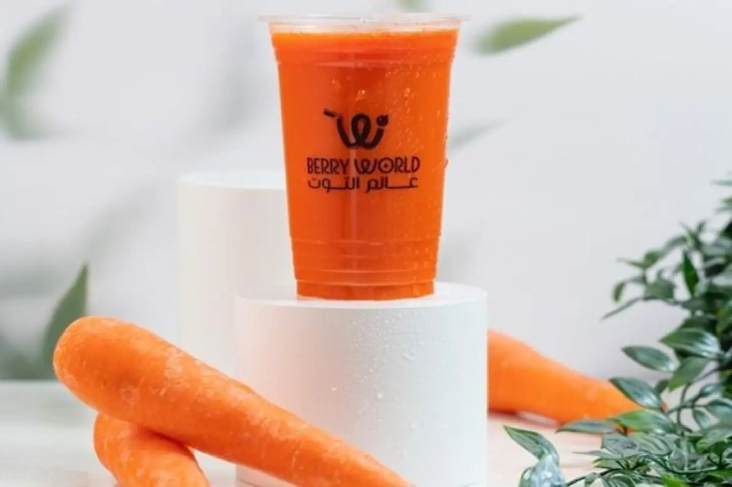 Carrot - Medium