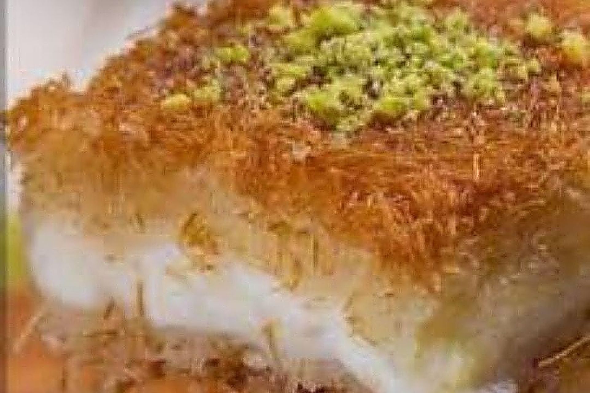 كنافة جبن سائل مع قشطة - حجم عائلي