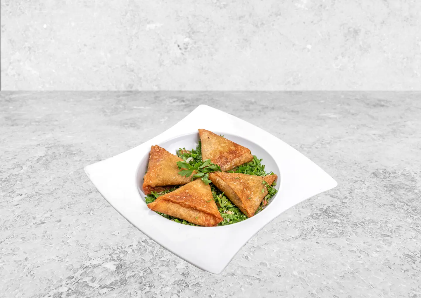 Chicken Sambosa - 10 Pcs