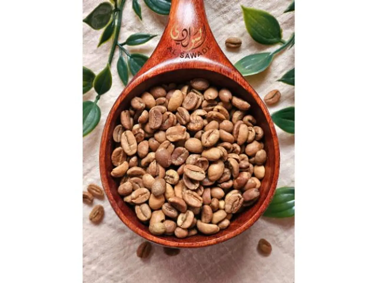 قهوة هرري باشنفر محمص وسط - 500 جرام