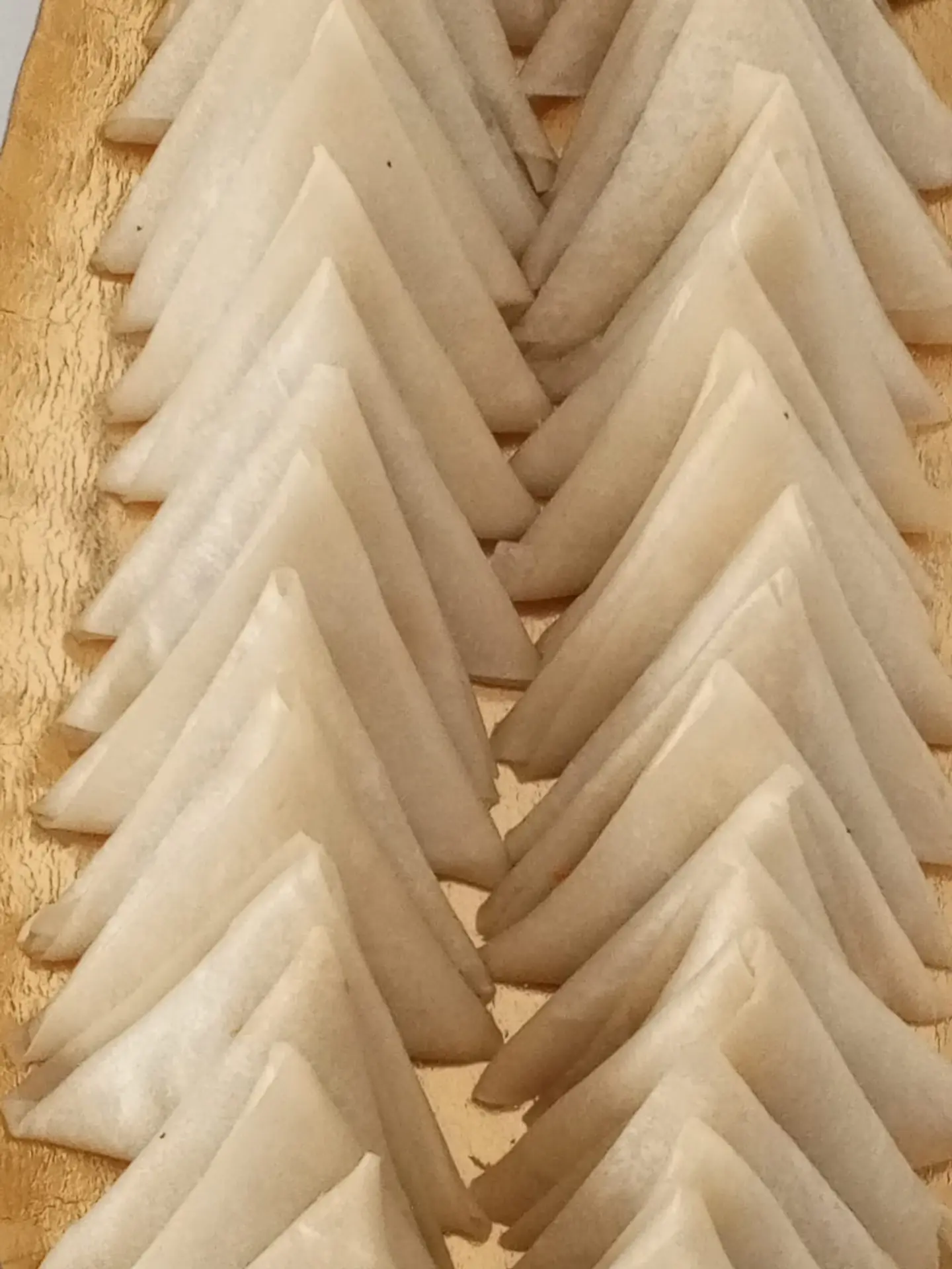 Beef Samosa - 50 Tablets