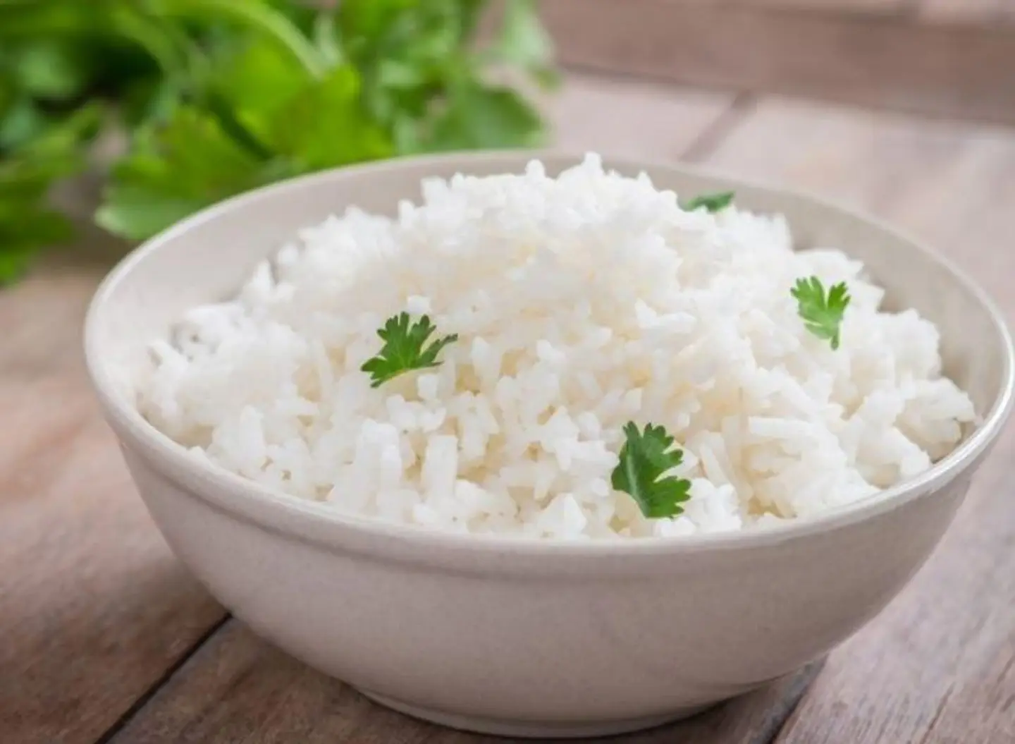 Rice Plate - Half