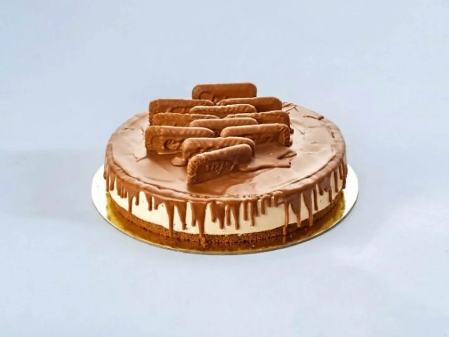 موس كيك لوتس - موس كيك لوتس كبير