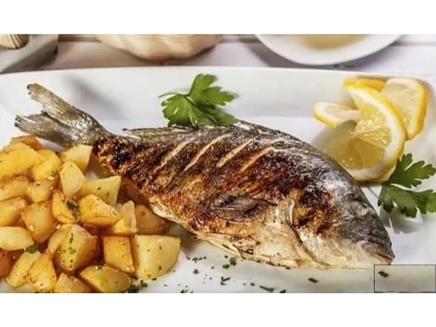 Tilapia - Grilled