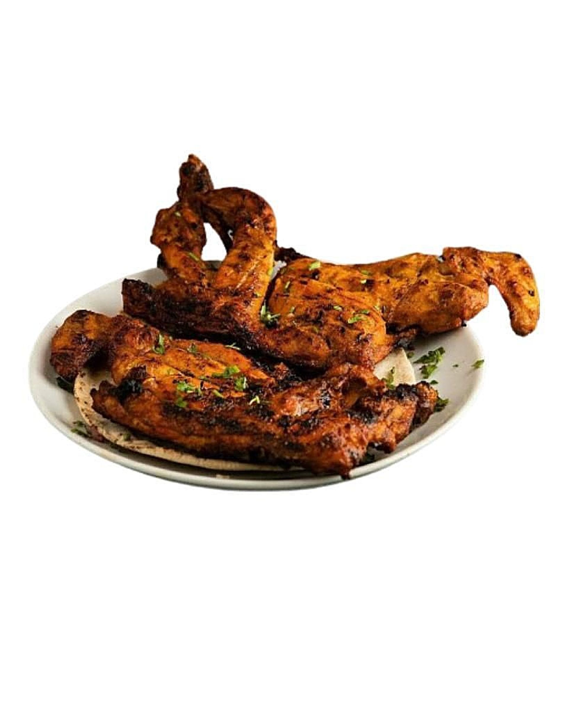 دجاج عالفحم - صغير