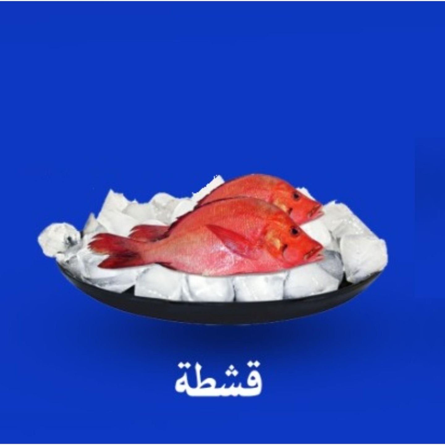 سمك قشطة  - مقلي