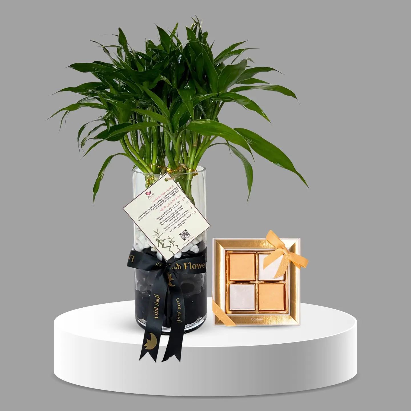 نبات البامبو - بدون شوكلت