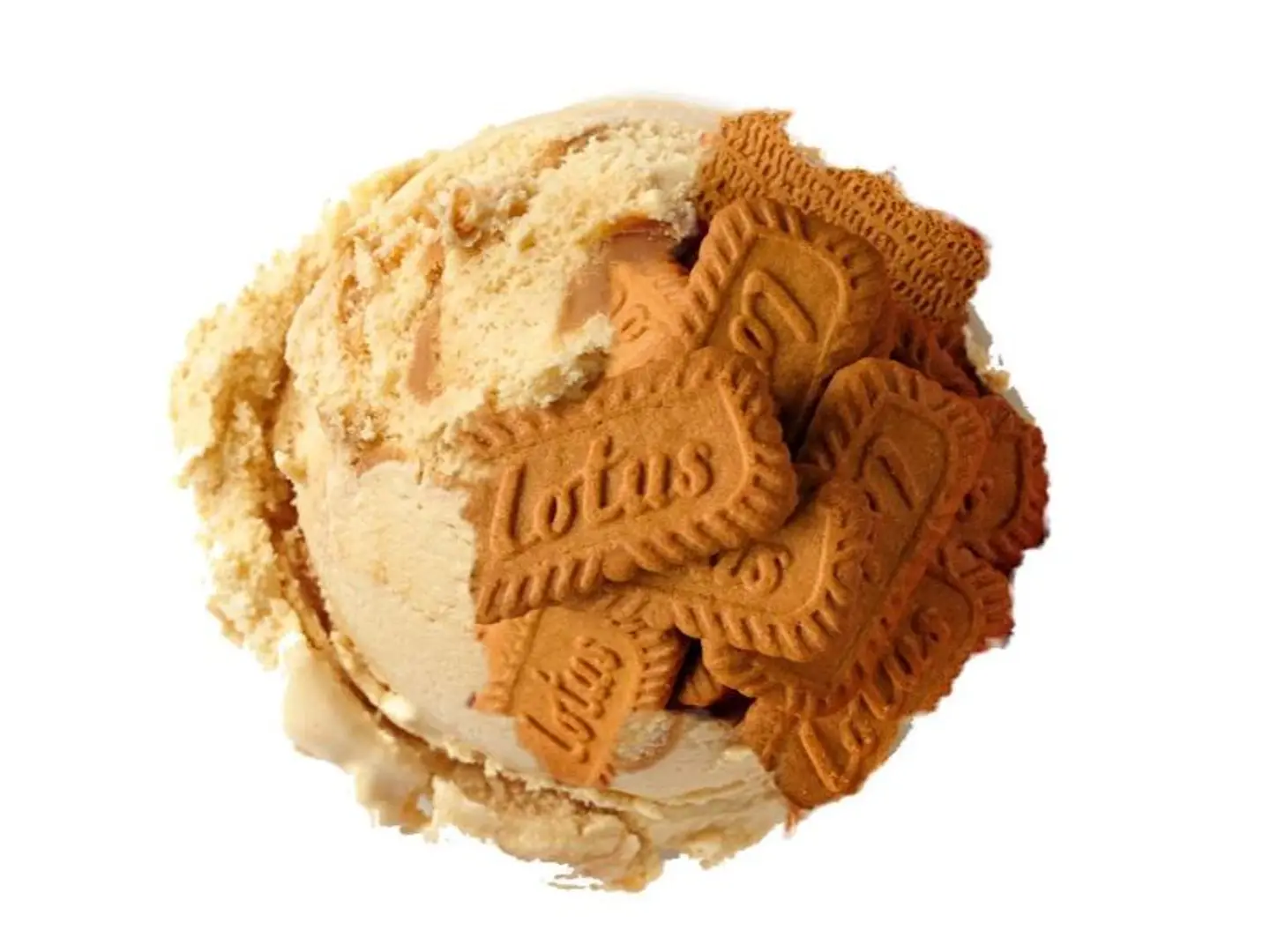 Lotus Ice Cream - Small
