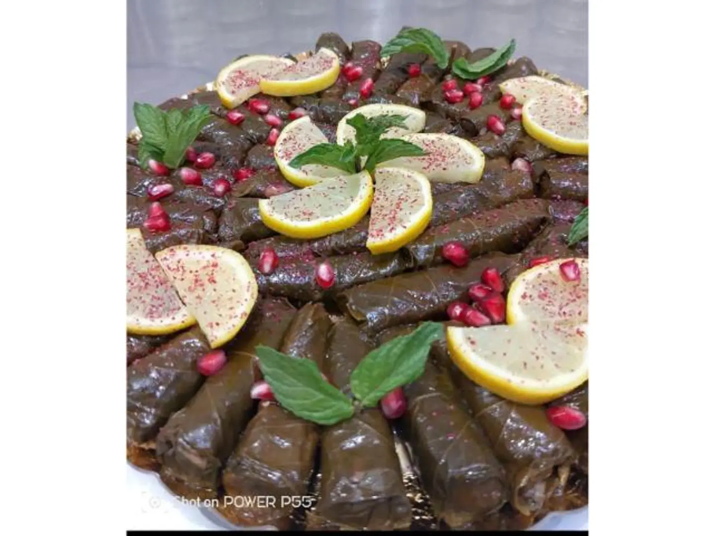 Grape Leaves - 20 Pieces