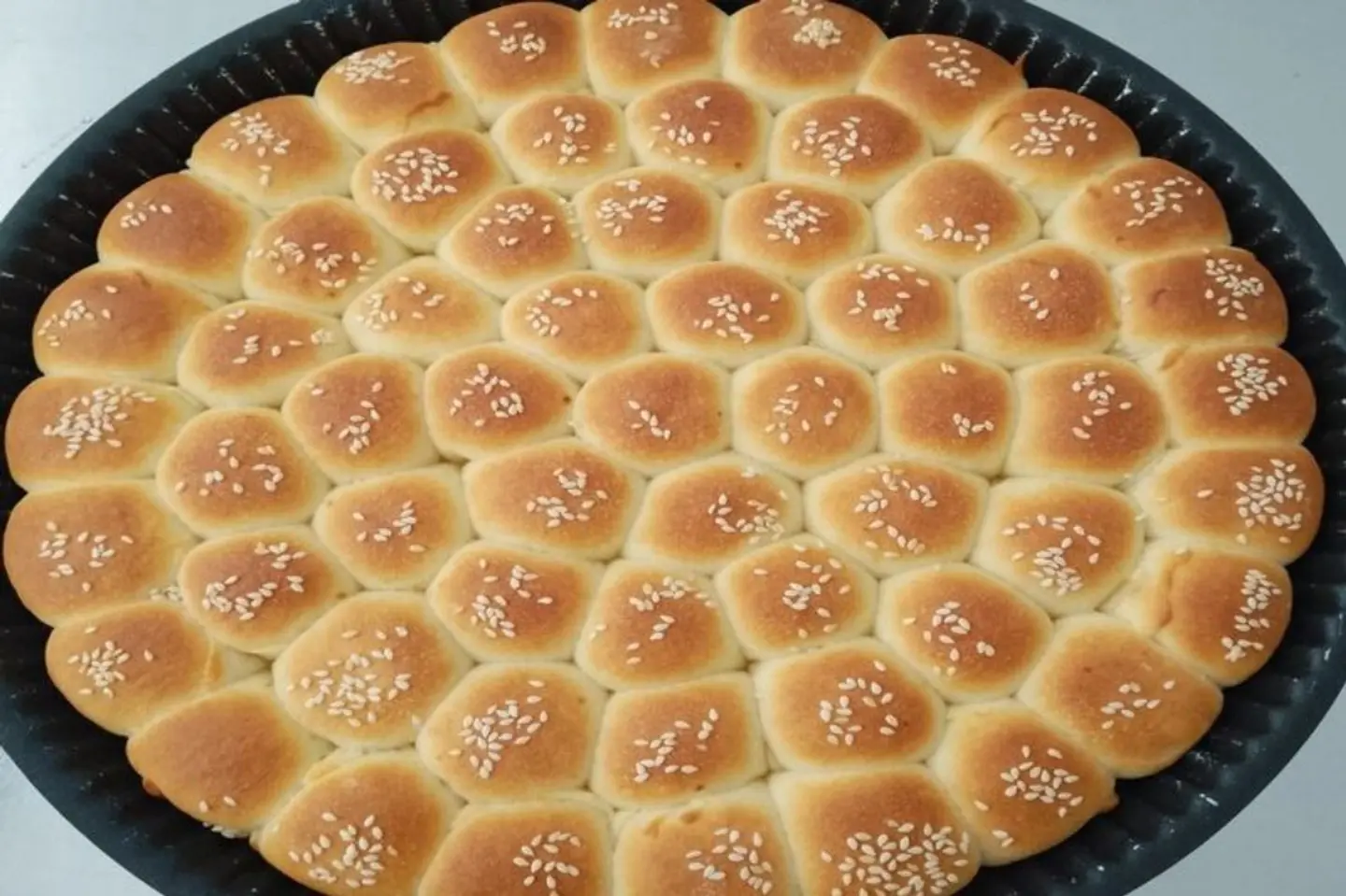 خلية نحل - وسط