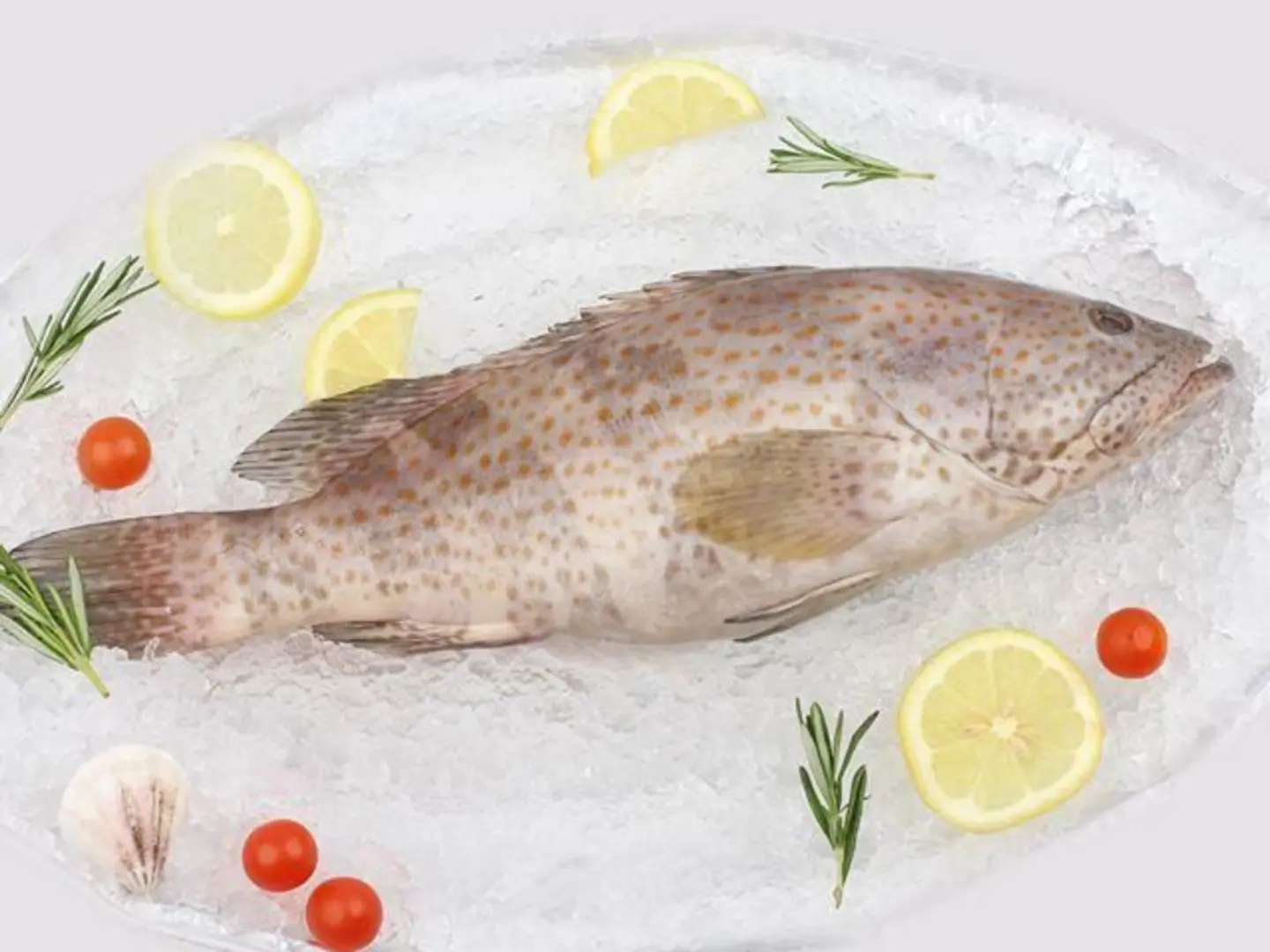 Hamour 1/2 Kg - Oven