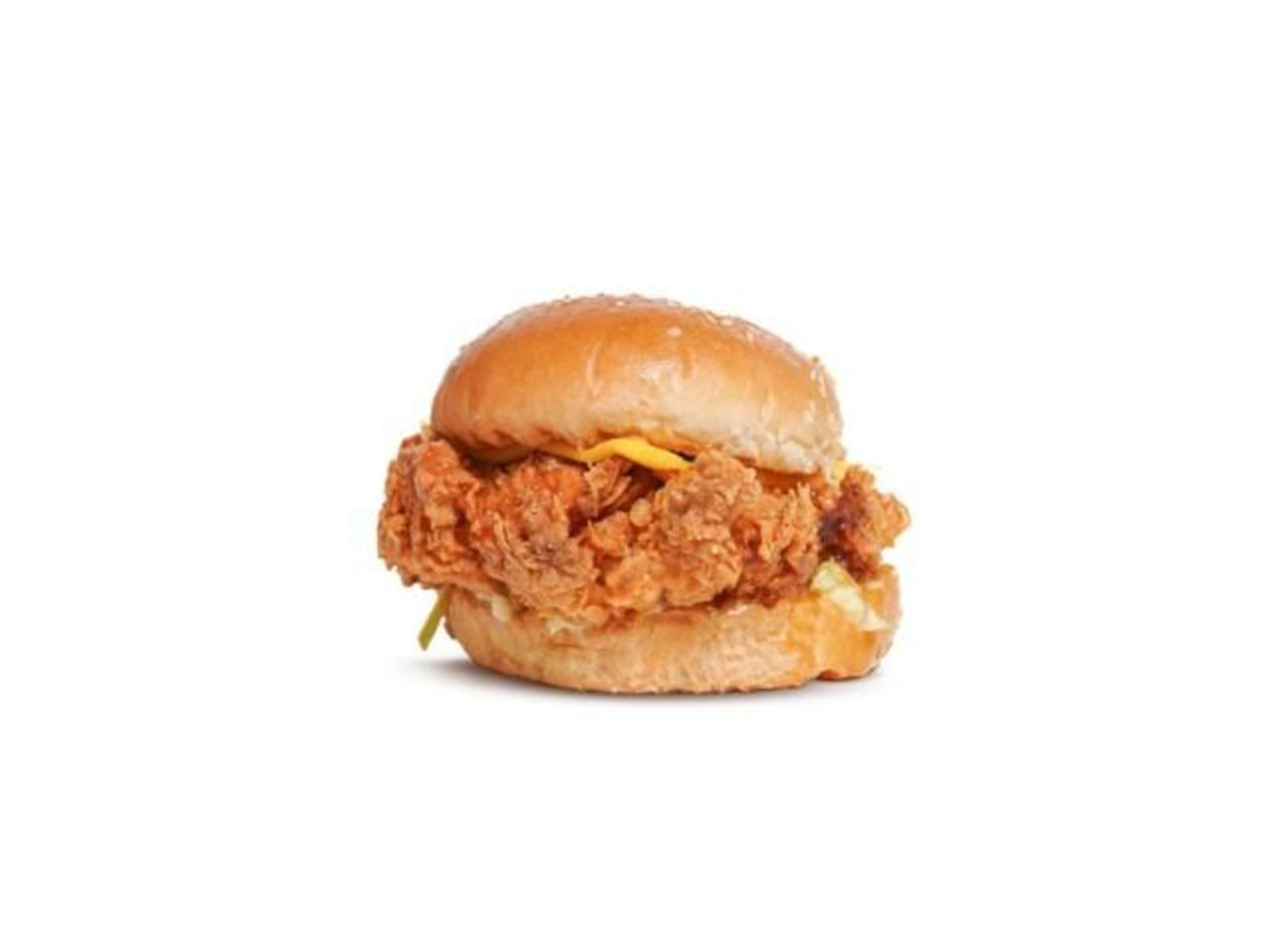 Special Chicken - Regular