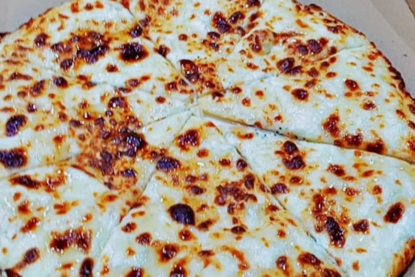 Ash Albulbul With Coconut - Small