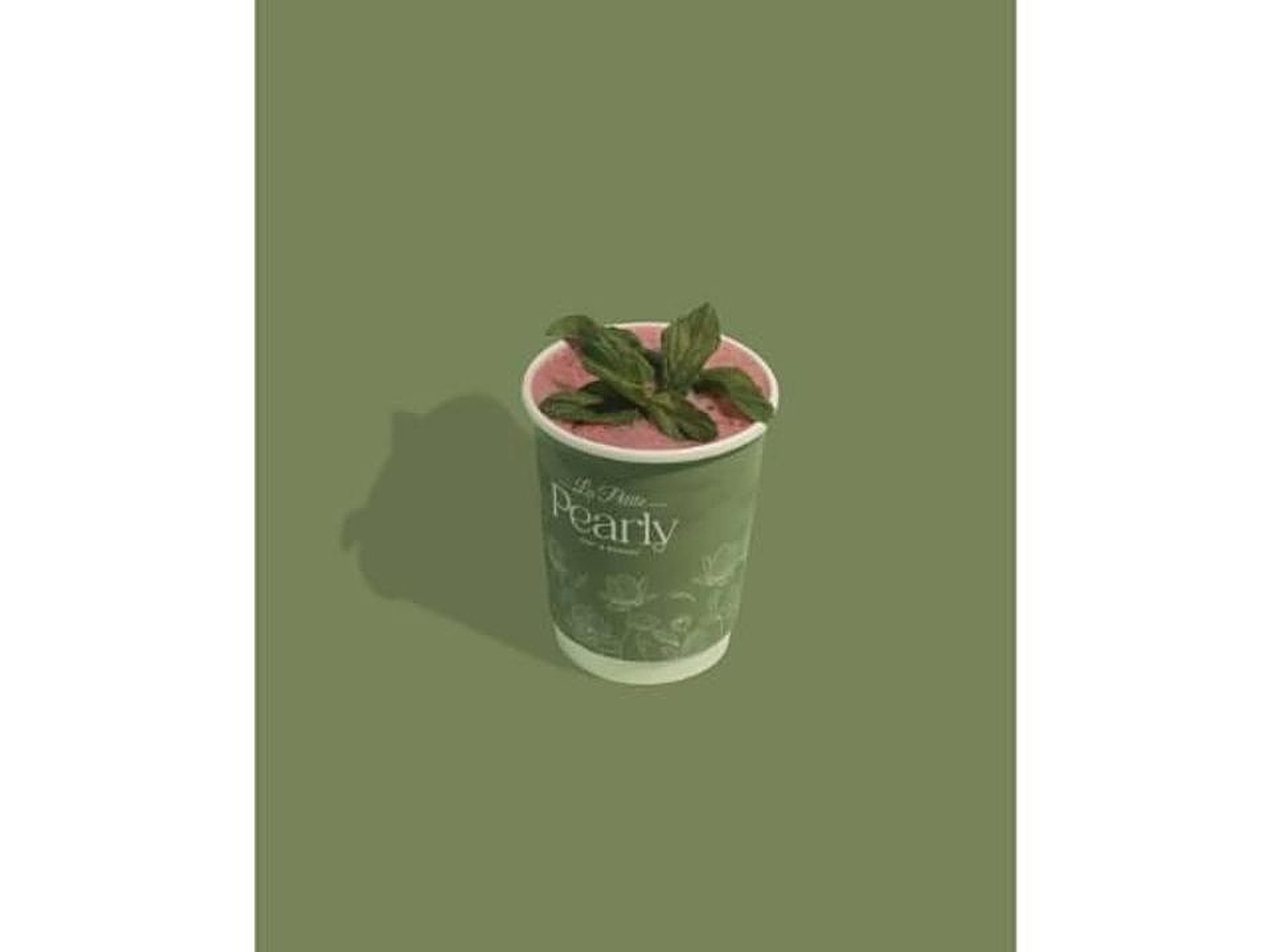 Hibiscus - Medium