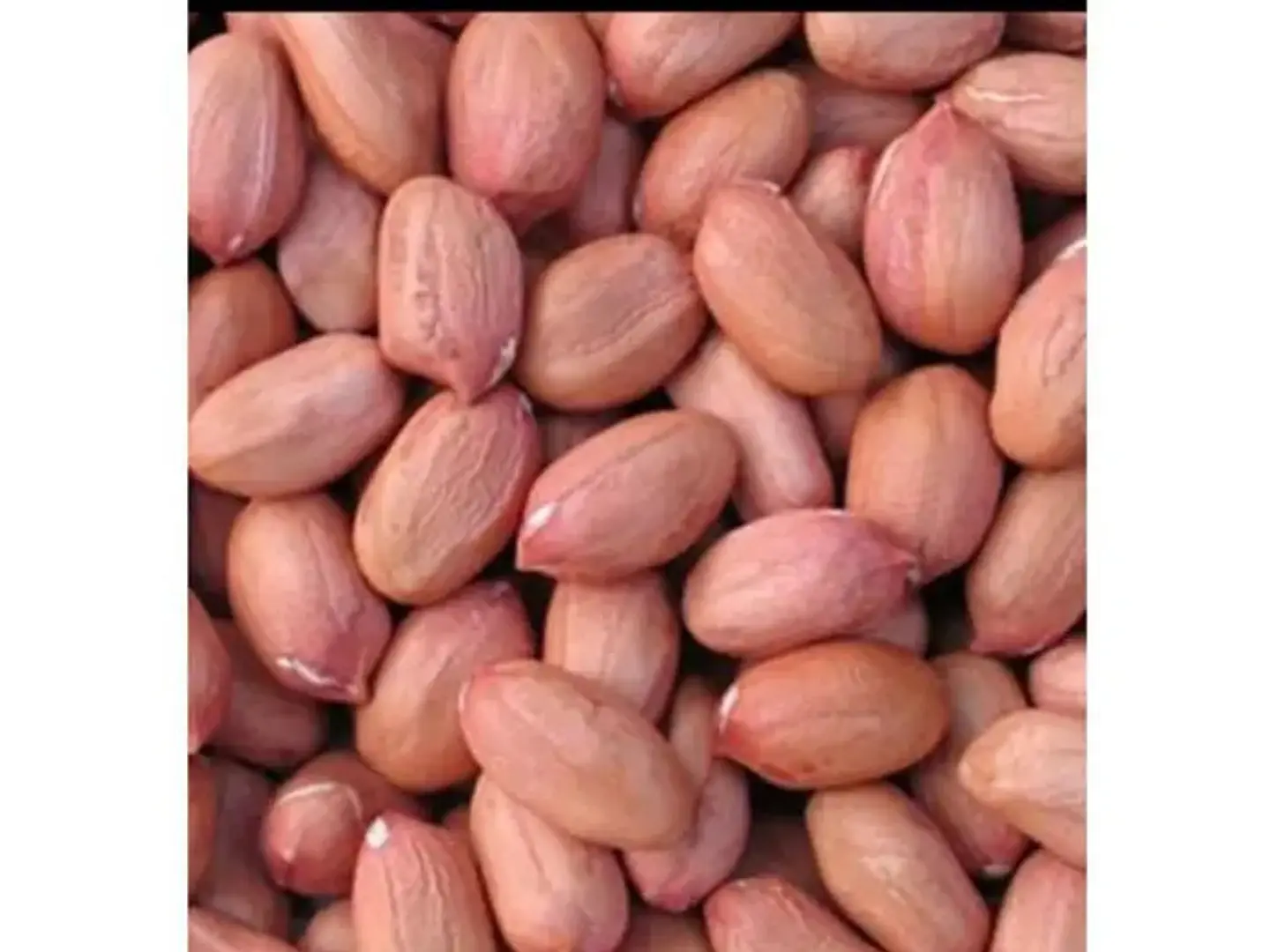 Peeled Sudanese Wheat Without Salt - Kilo