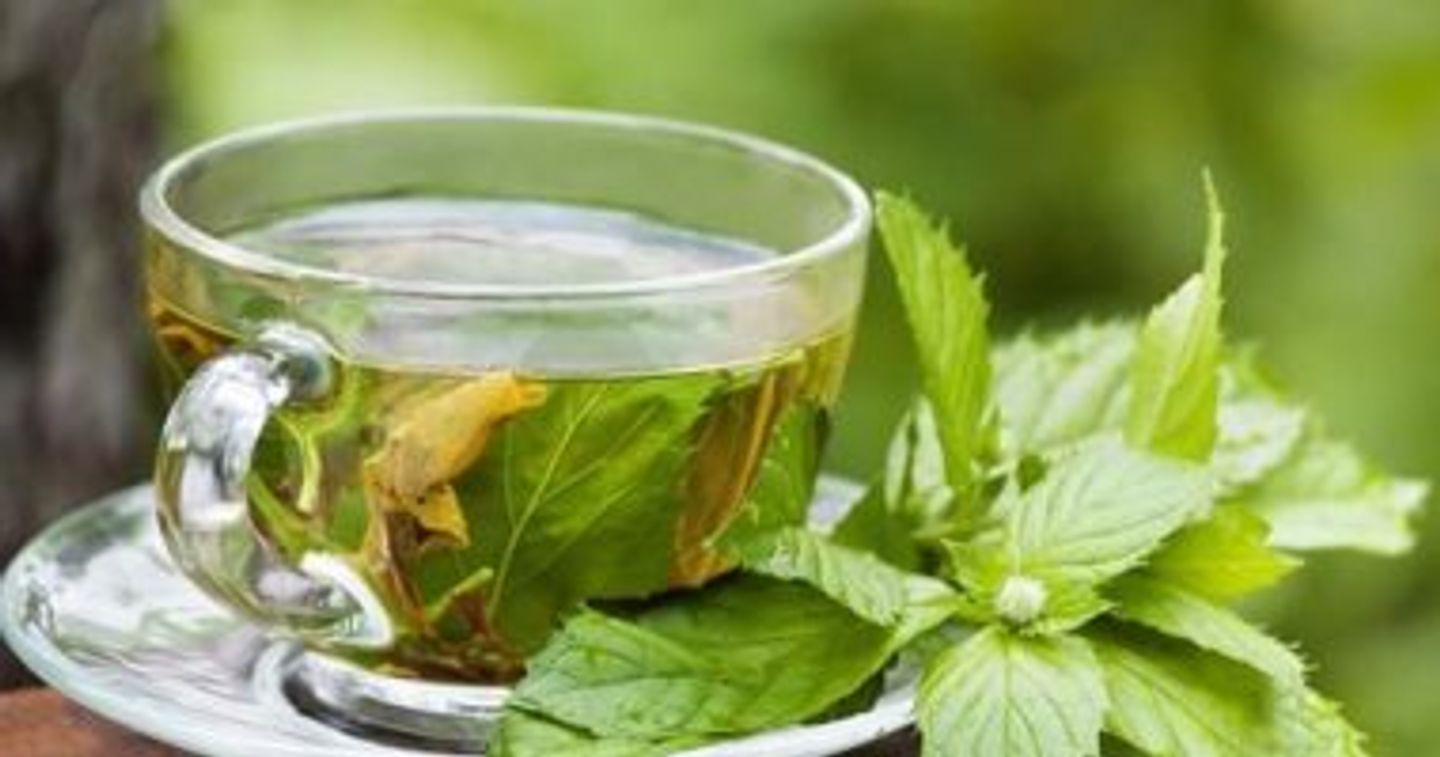 شاي أخضر - كوب ورق