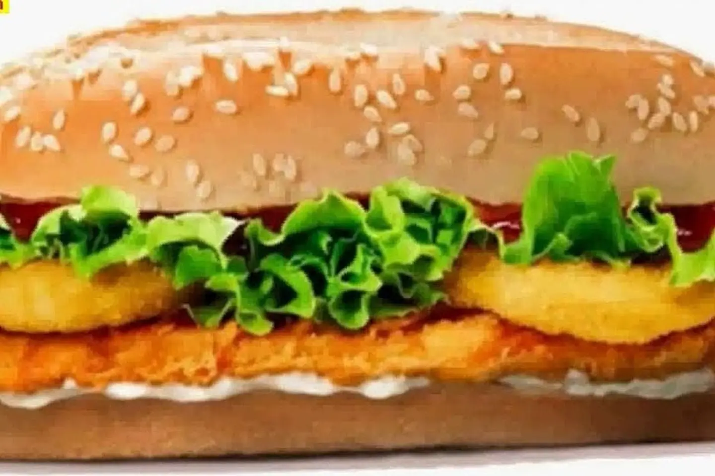 Jumbo Chicken Meat Kebab - Meal