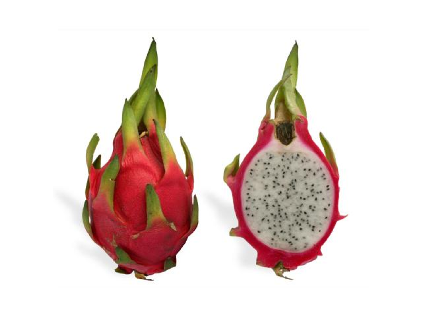 Dragon Fruit - Piece