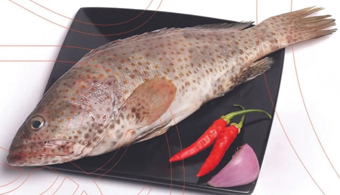 Grouper Fish - 500 Grams