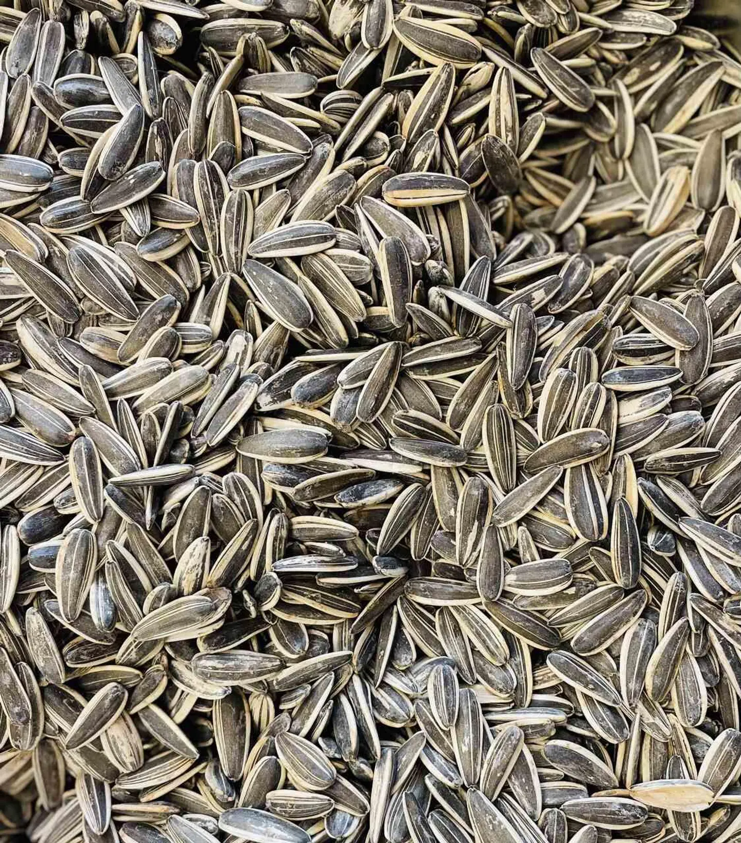 عباد الشمس مدخن - 250 جرام