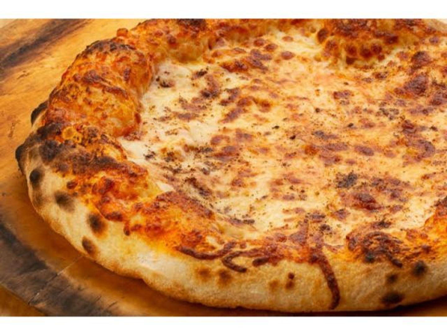 مارجريتا - صغير