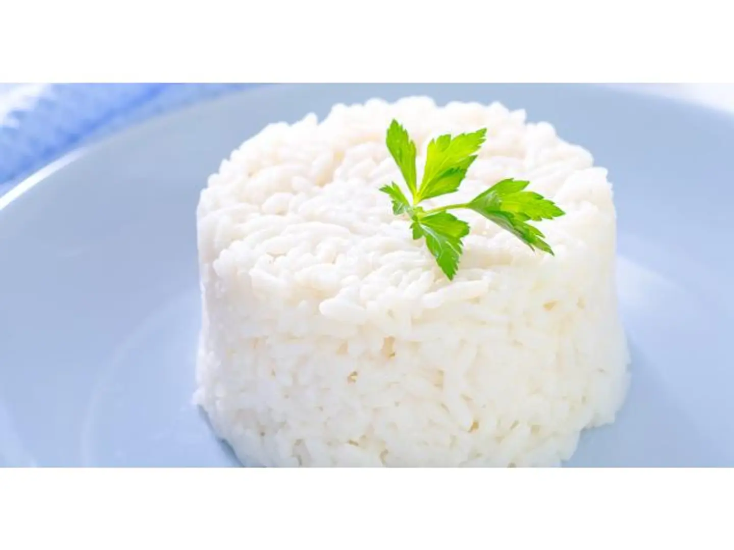 رز ساده - صغير