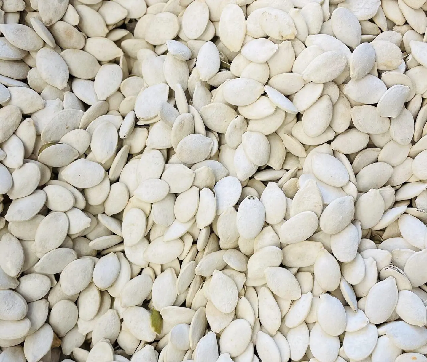 لب ابيض مملح - 250 جرام